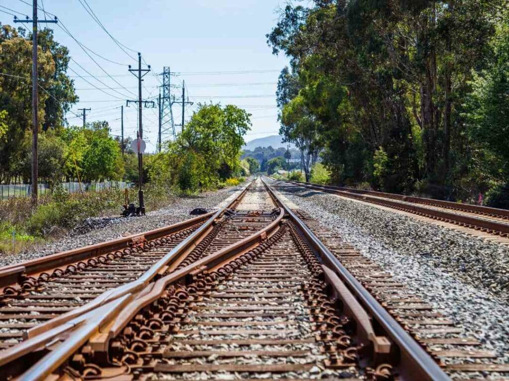 Brown rail tracks near green trees